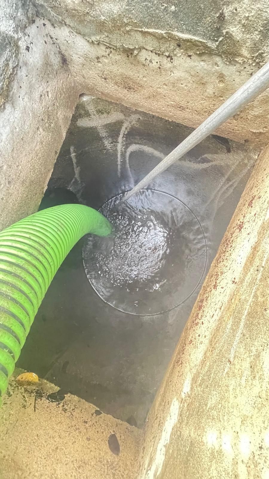 Green hose and metal pipe pumping water from a small concrete pit.