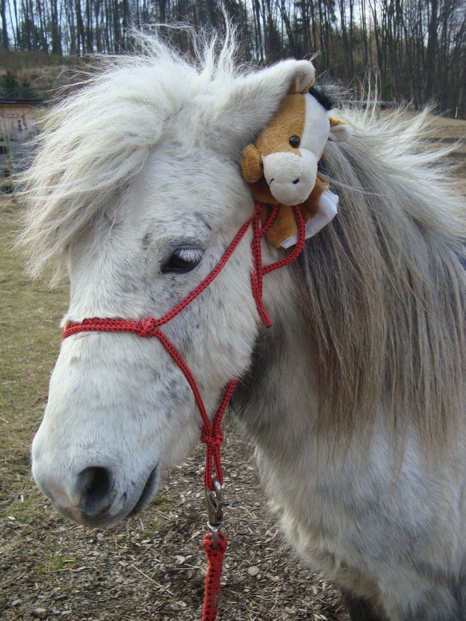 Peppito