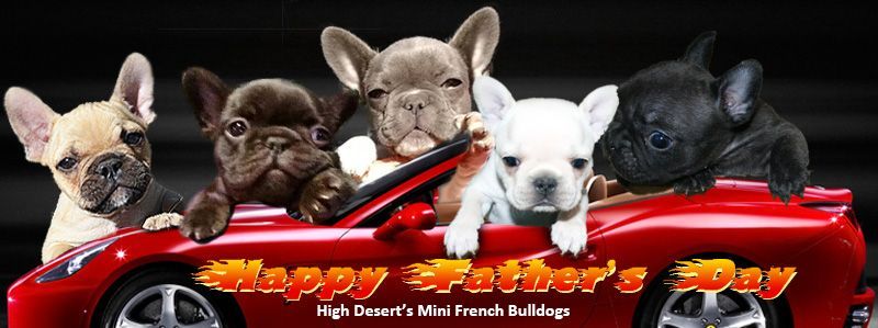 HDFrenchie Father's Day