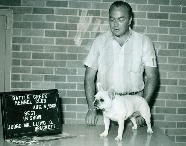 history of french bulldogs