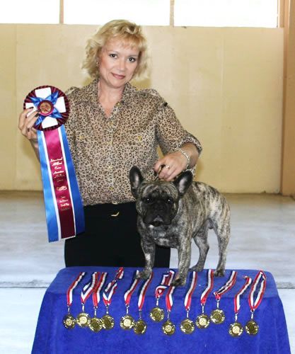 International Champion