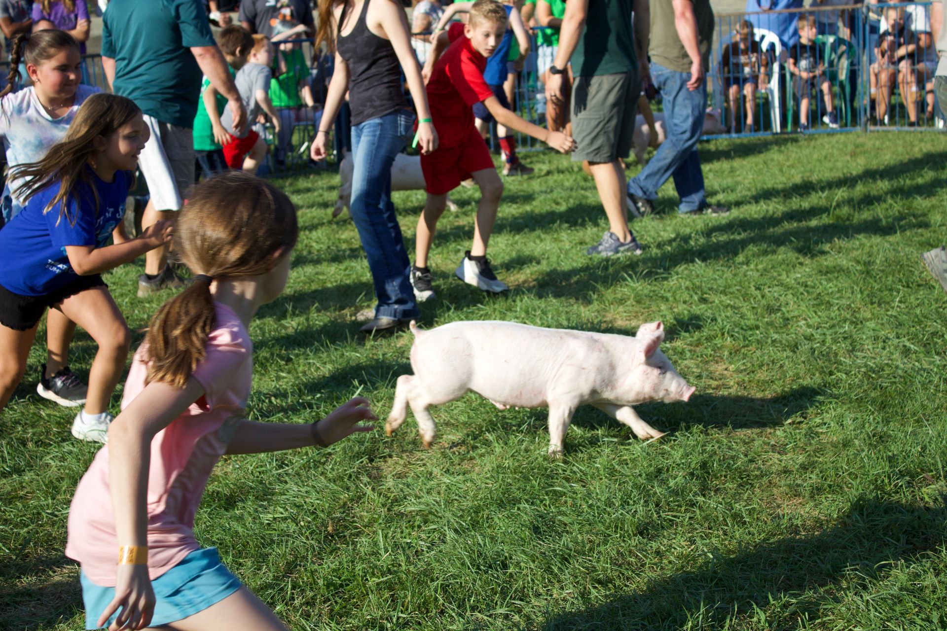 Youth Pig Scramble