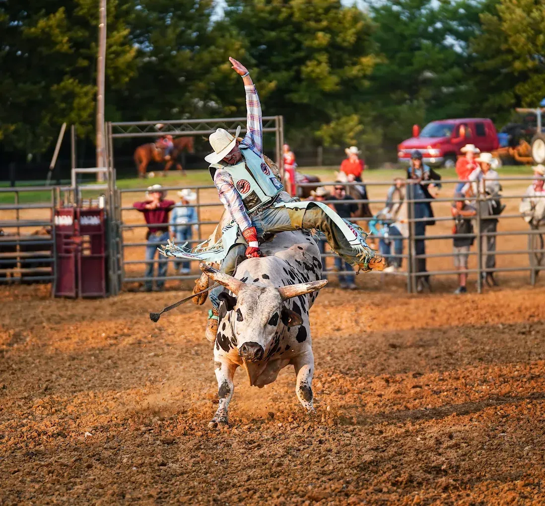 Bull Riding
