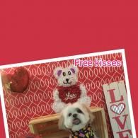 Two small dogs on a red patterned card with “Free kisses” and a vertical “LOVE” sign