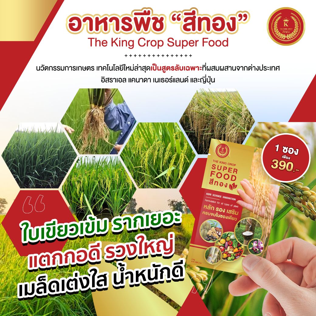 ปุ๋ยสีทอง