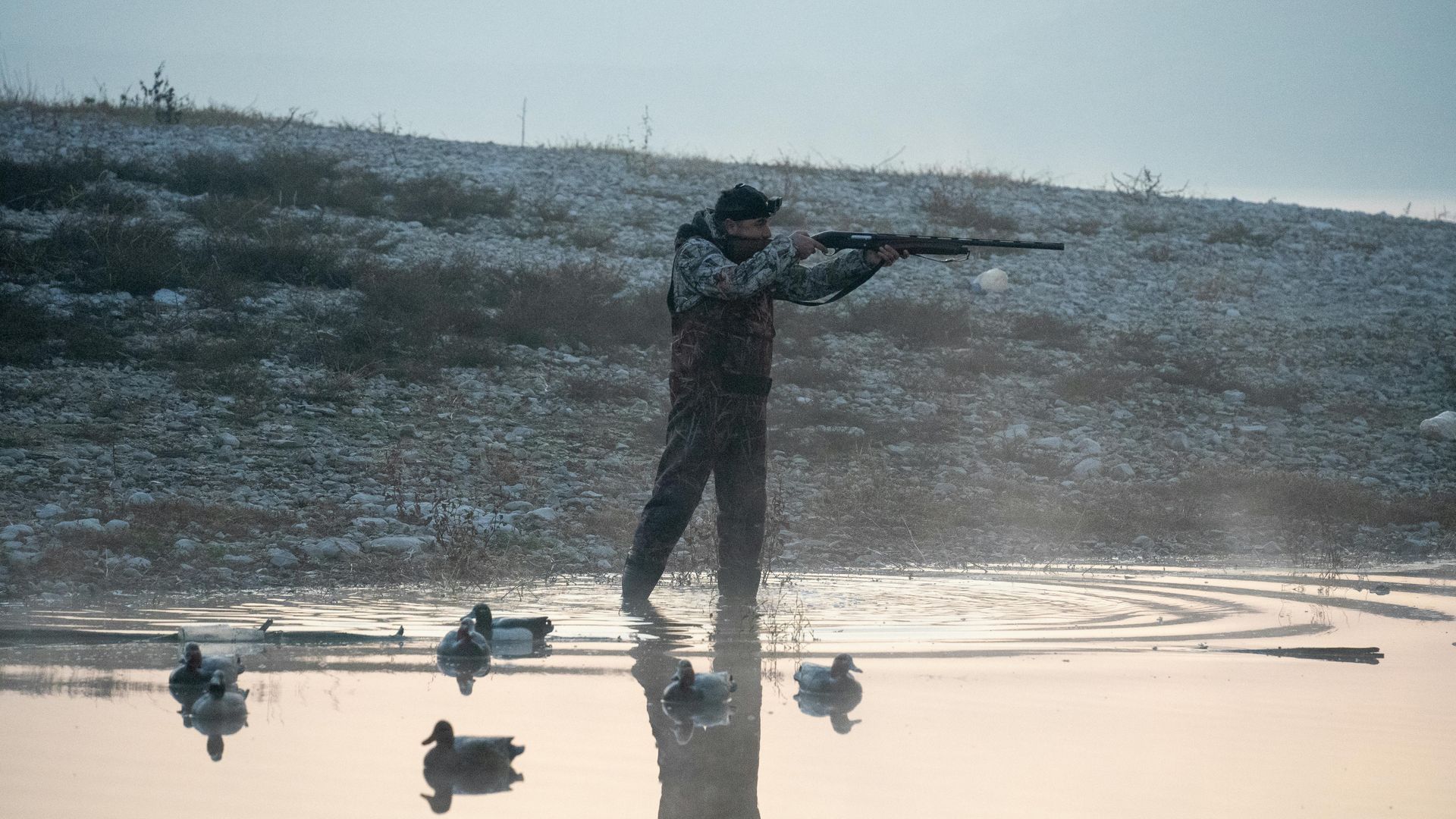 Person aiming a shotgun beside a reflective wetland with ducks at dusk