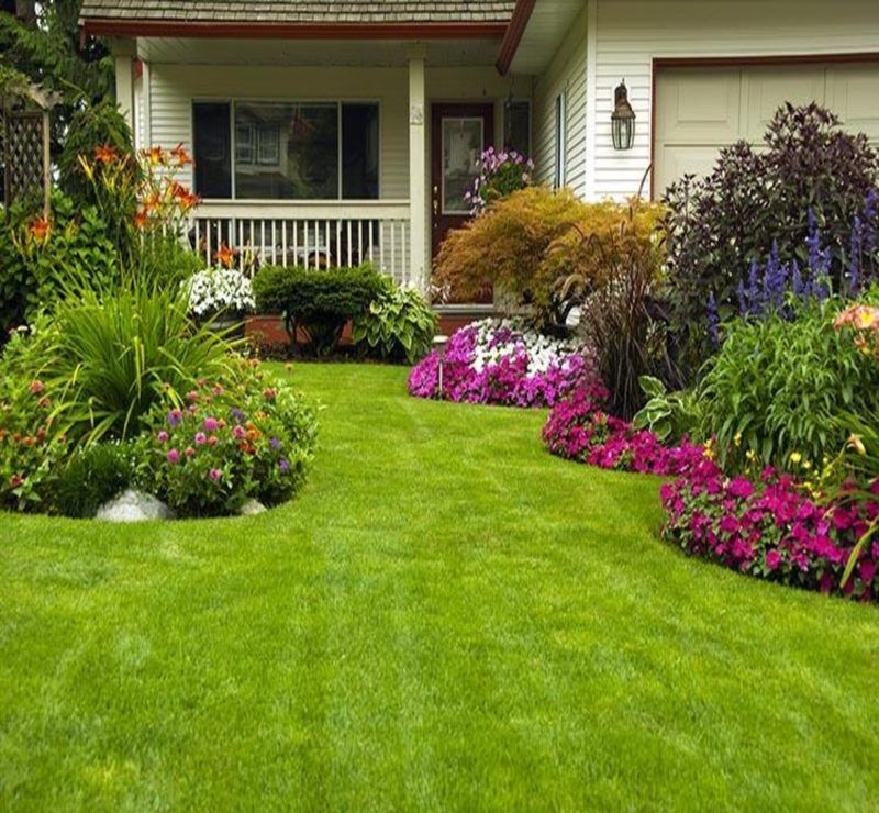 lawn renovation fairfax va