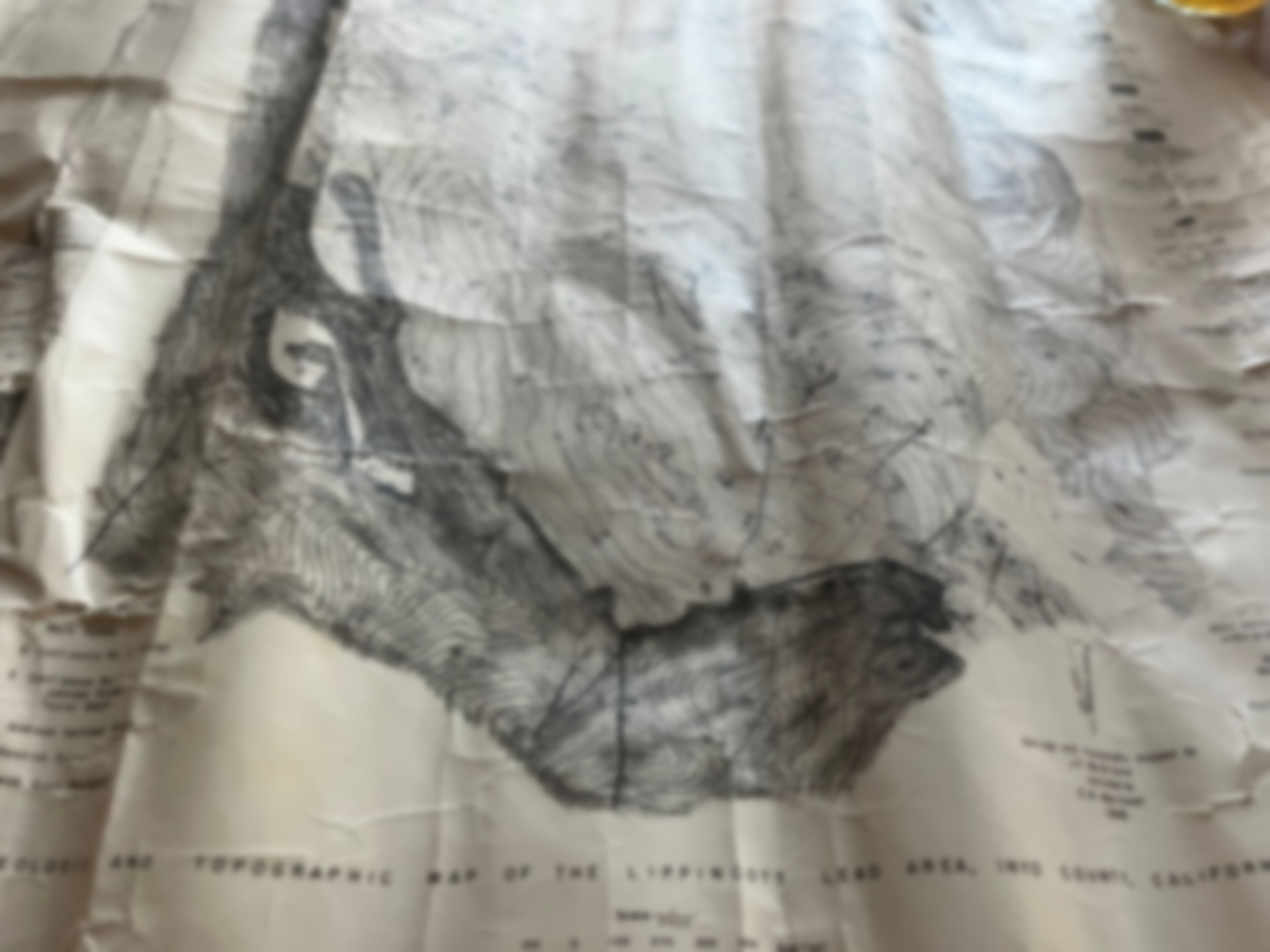 A sketch of a bird on wrinkled paper, with gray shading and handwritten notes around it.