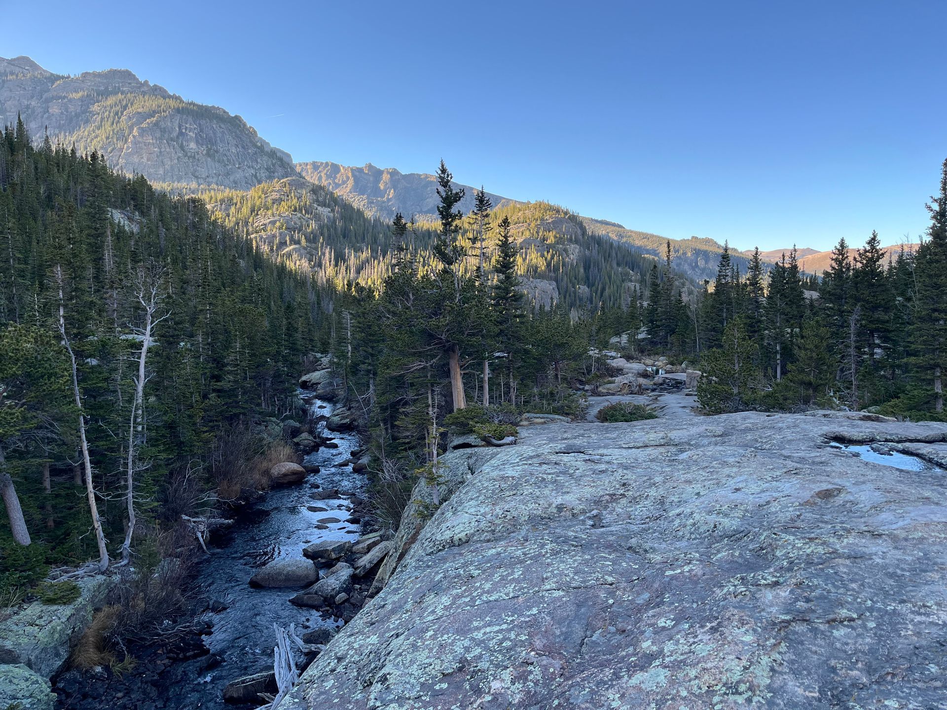 Mountain stream beside a rocky ledge in a pine forest with distant sunlit peaks under a clear blue sky