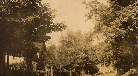 Sepia-toned street lined with trees, house visible on the left.