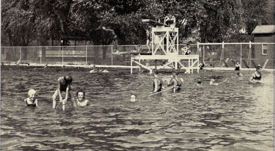 People swimming in an outdoor pool with a diving board. A fence and trees are visible in the background.