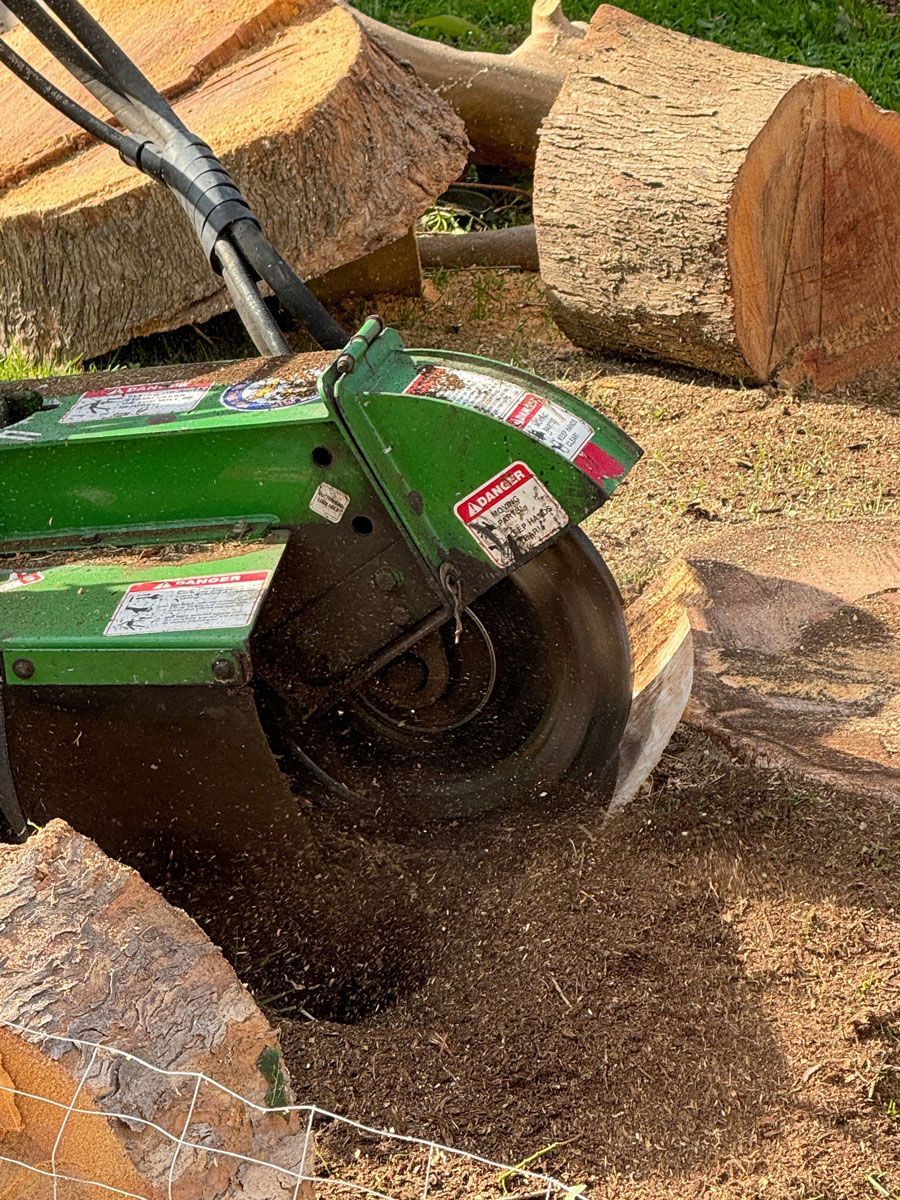 A green machine is stump grinding a tree stump.