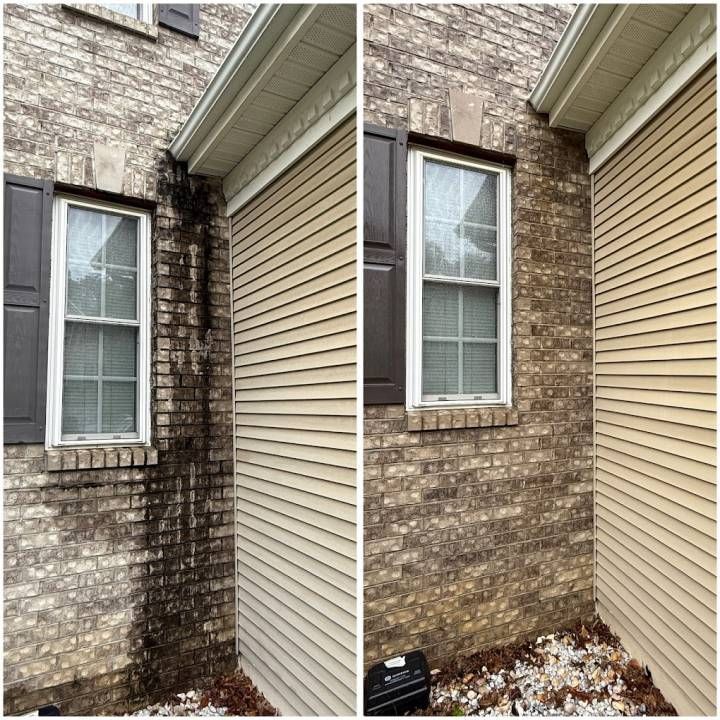 Brick house exterior with dark mildew stains beside beige siding, shown before and after cleaning.