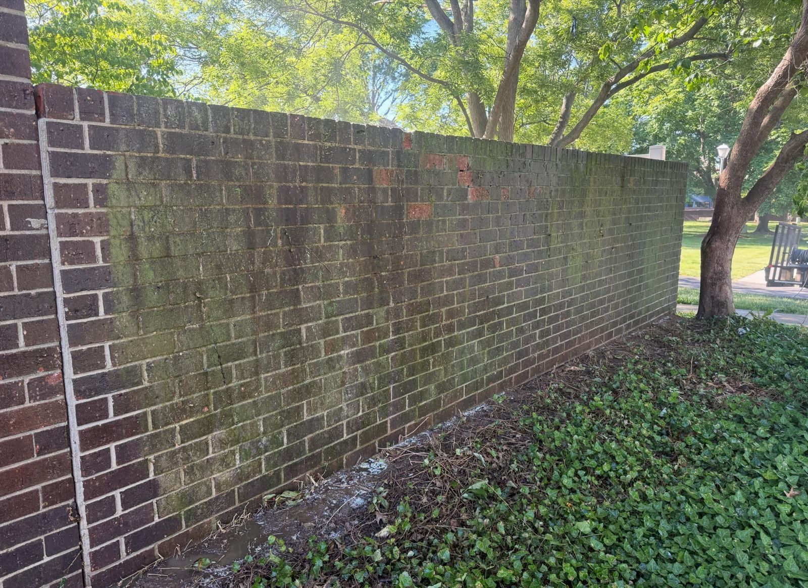 Brick garden wall with green growth, before — Catanzaro's Power Washing