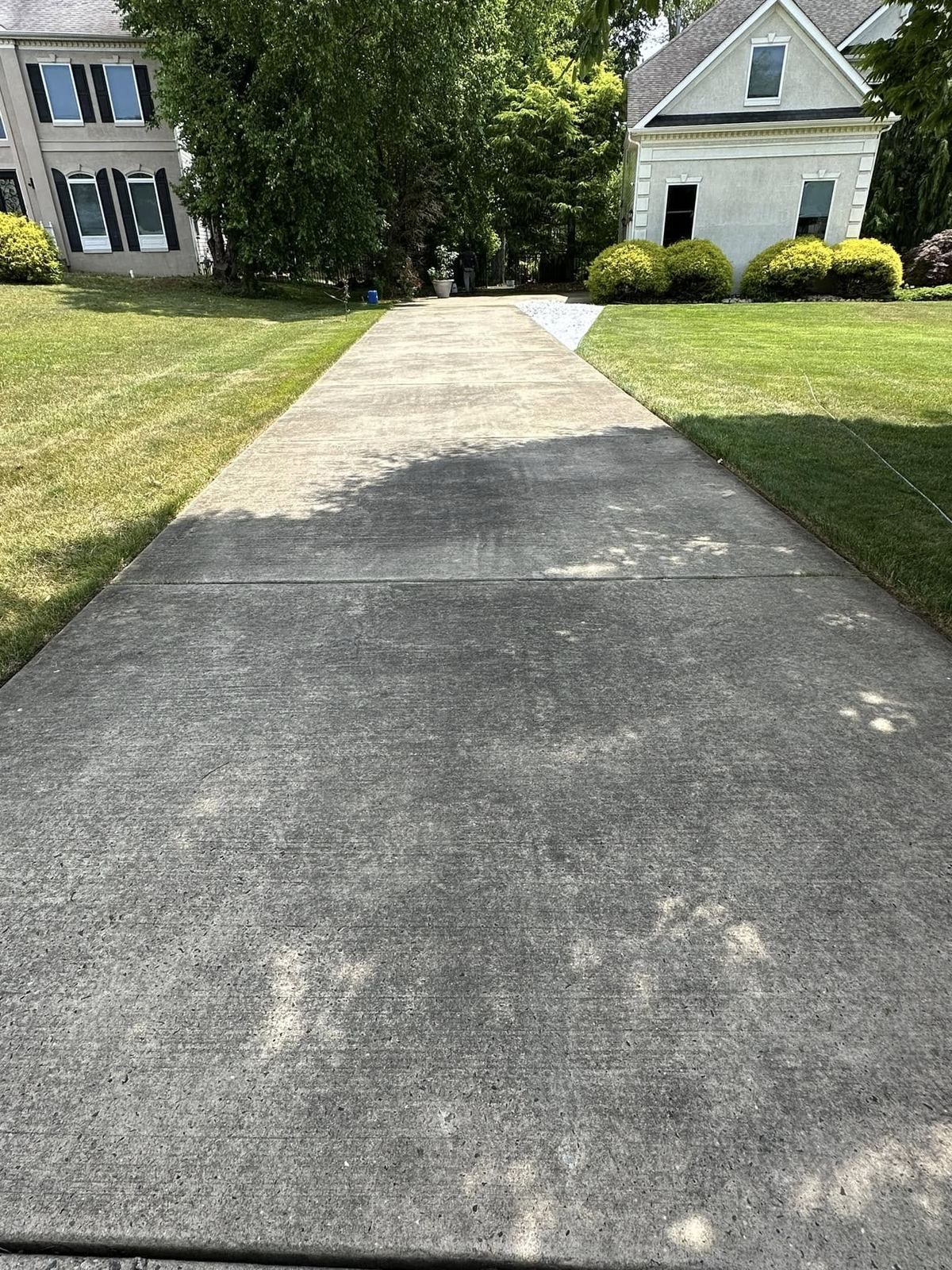 Concrete front walk, dirty — Catanzaro's Power Washing