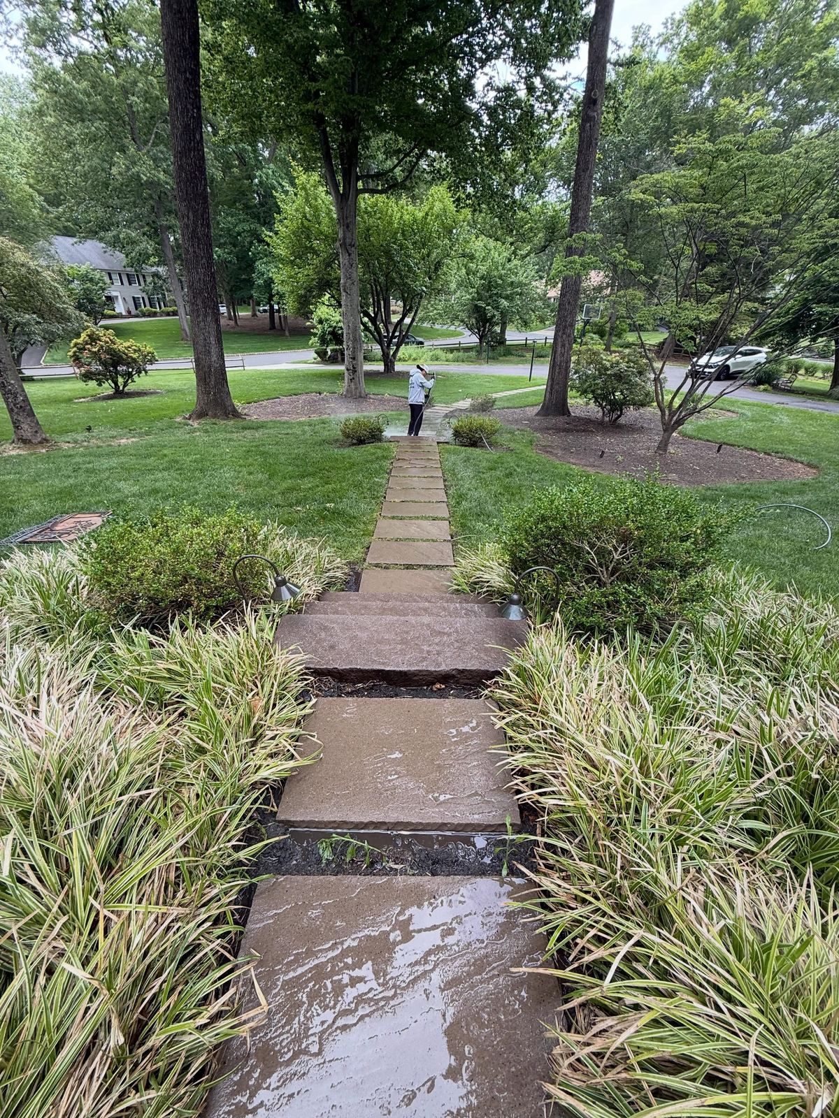 Wet brick walk through garden — Catanzaro's Power Washing