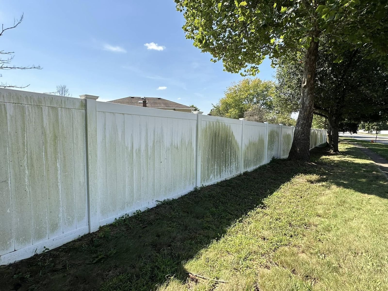 White vinyl fence, green and dirty — Catanzaro's Power Washing