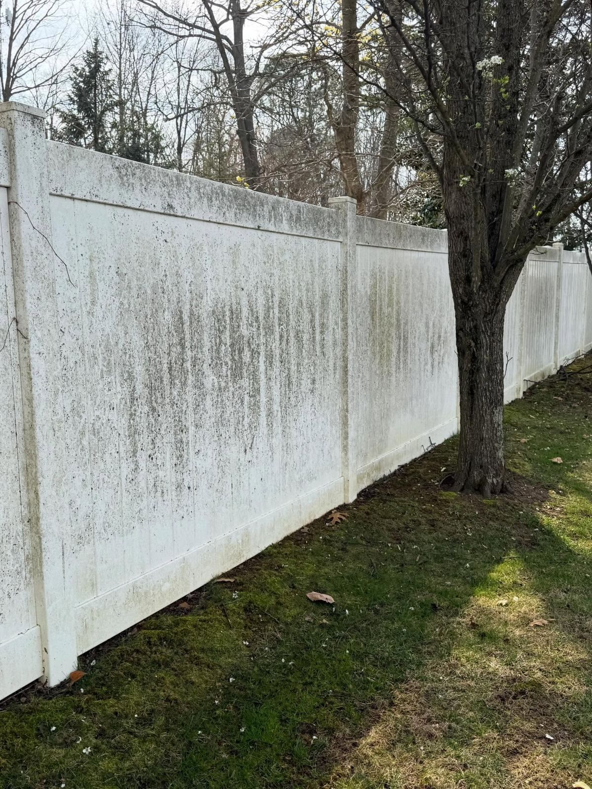 White vinyl fence, green and dirty — Catanzaro's Power Washing