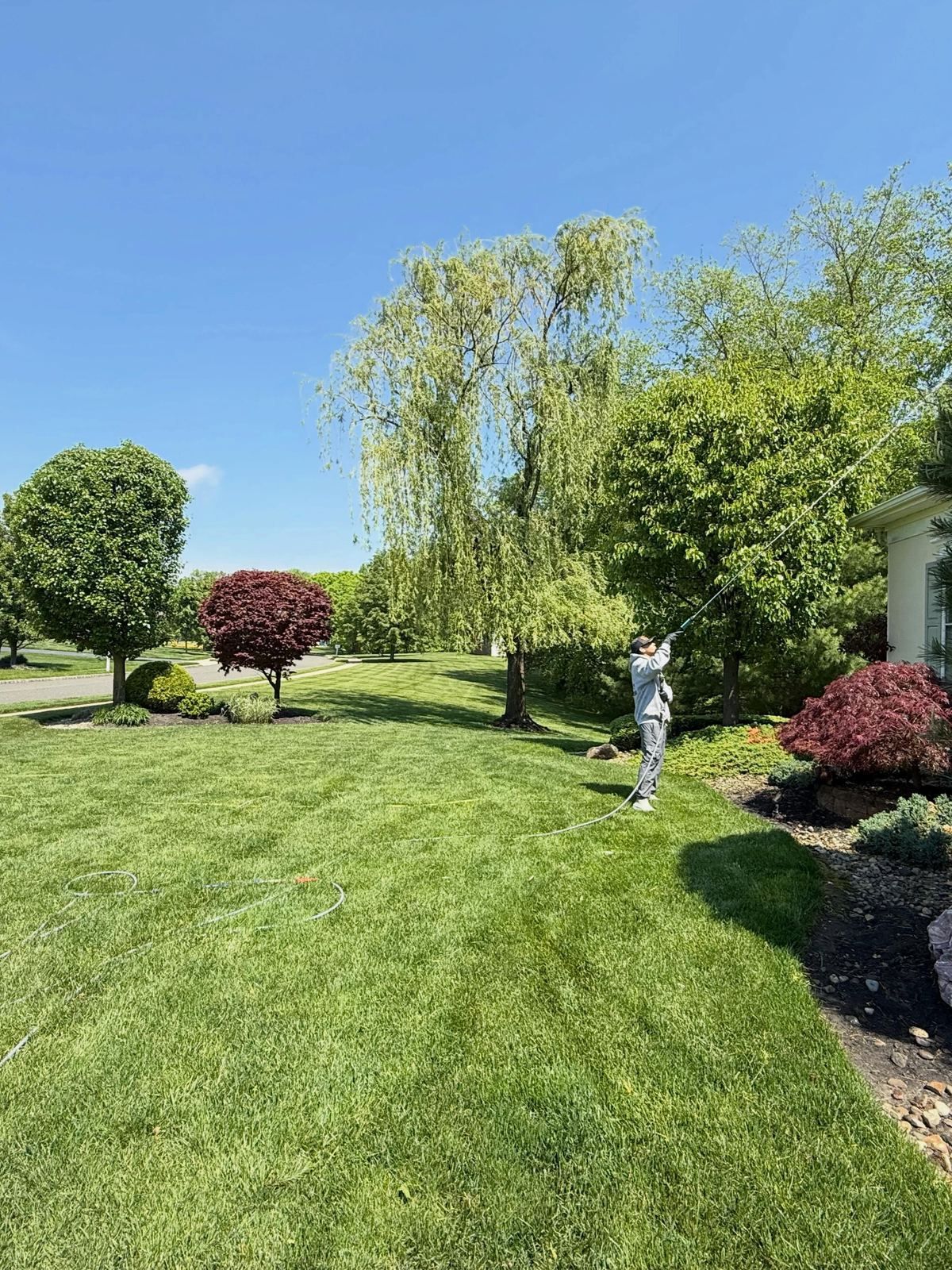 Back yard with willow tree, crew washing — Catanzaro's Power Washing