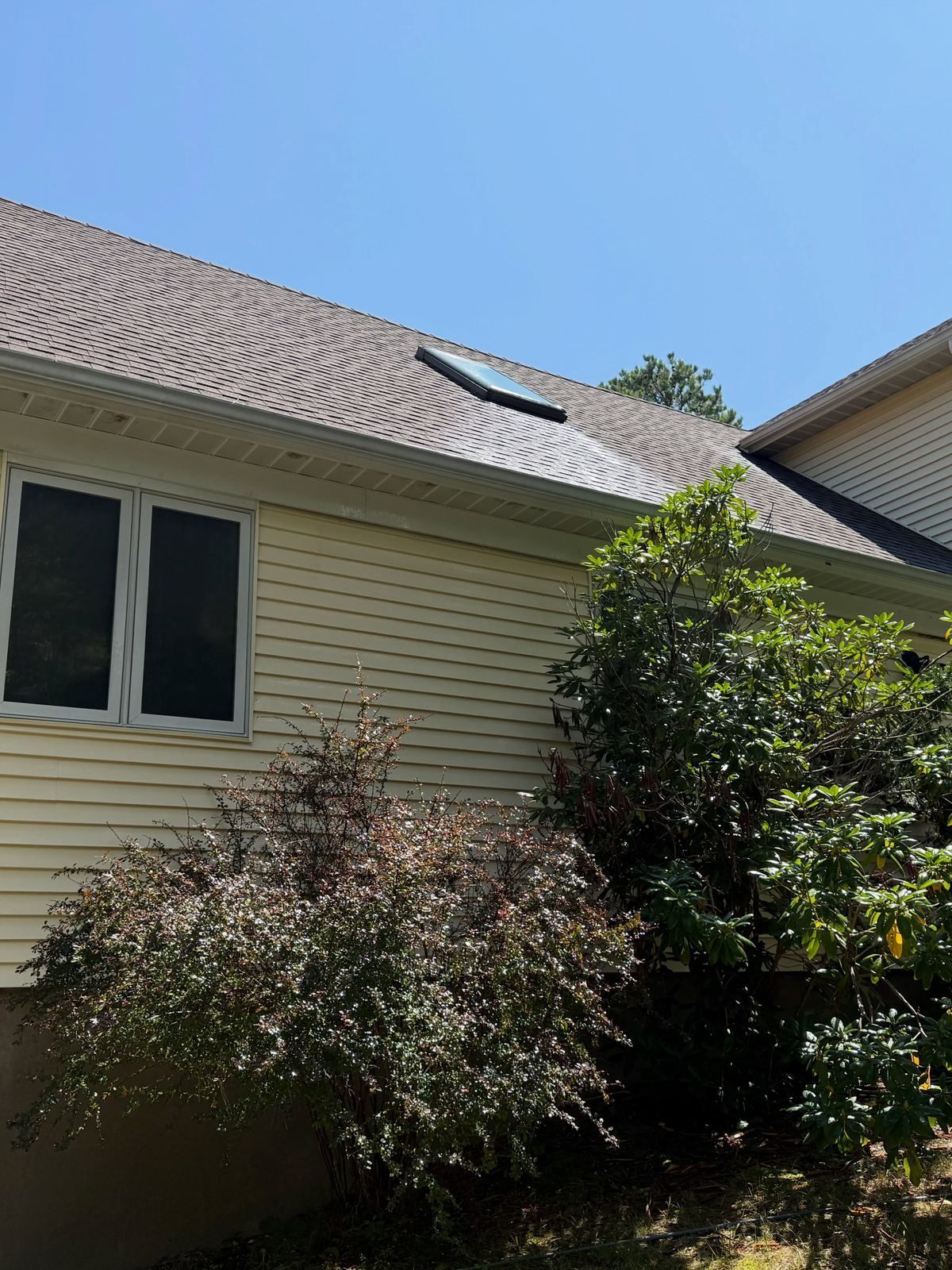 Cape side with shrubs — Catanzaro's Power Washing