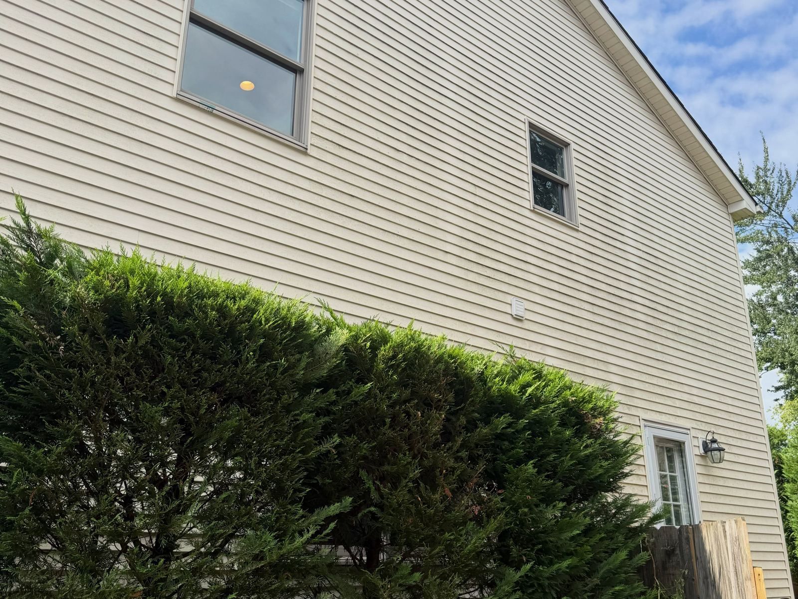Siding behind hedge — Catanzaro's Power Washing