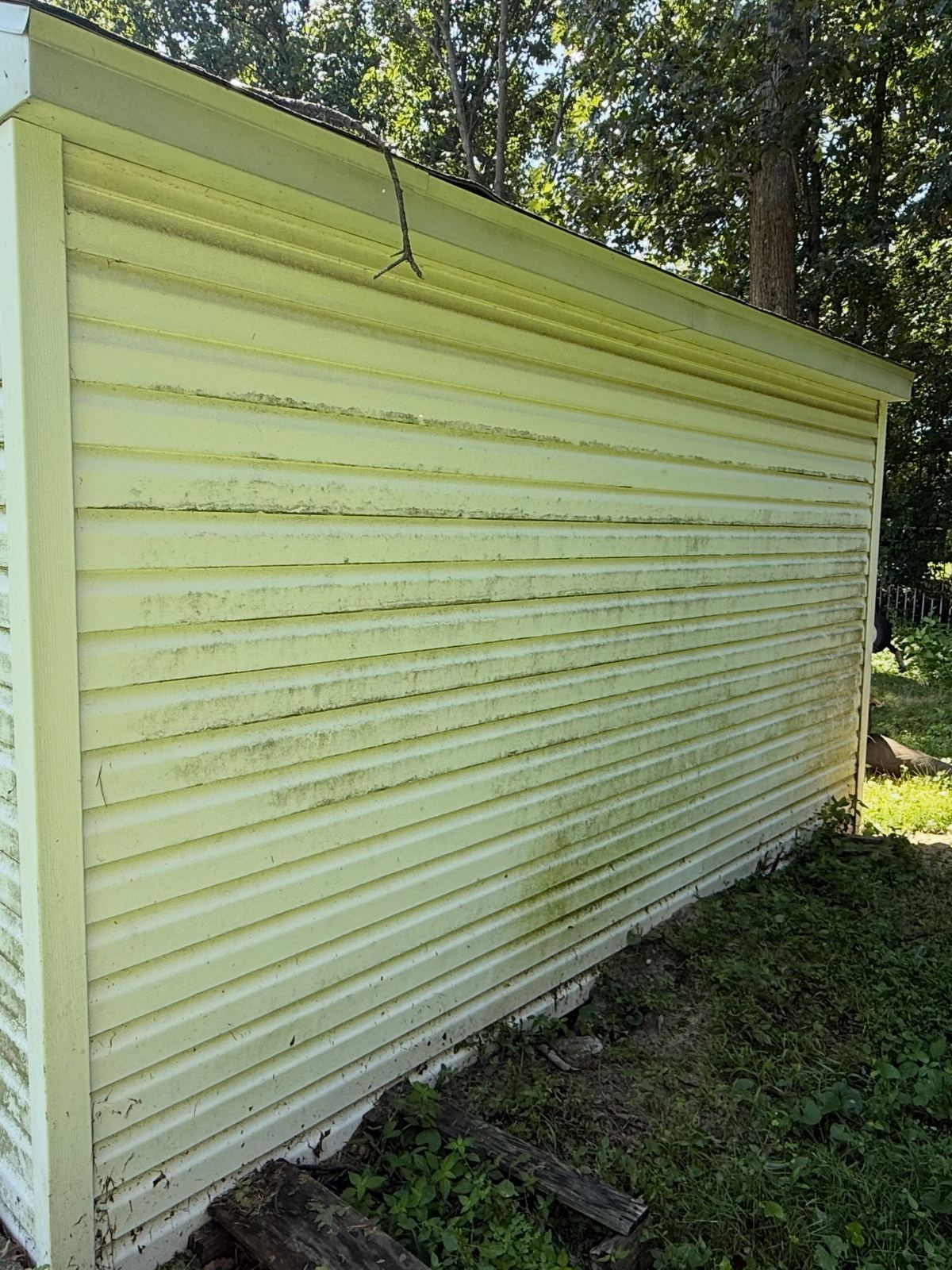 Siding with green film, before — Catanzaro's Power Washing