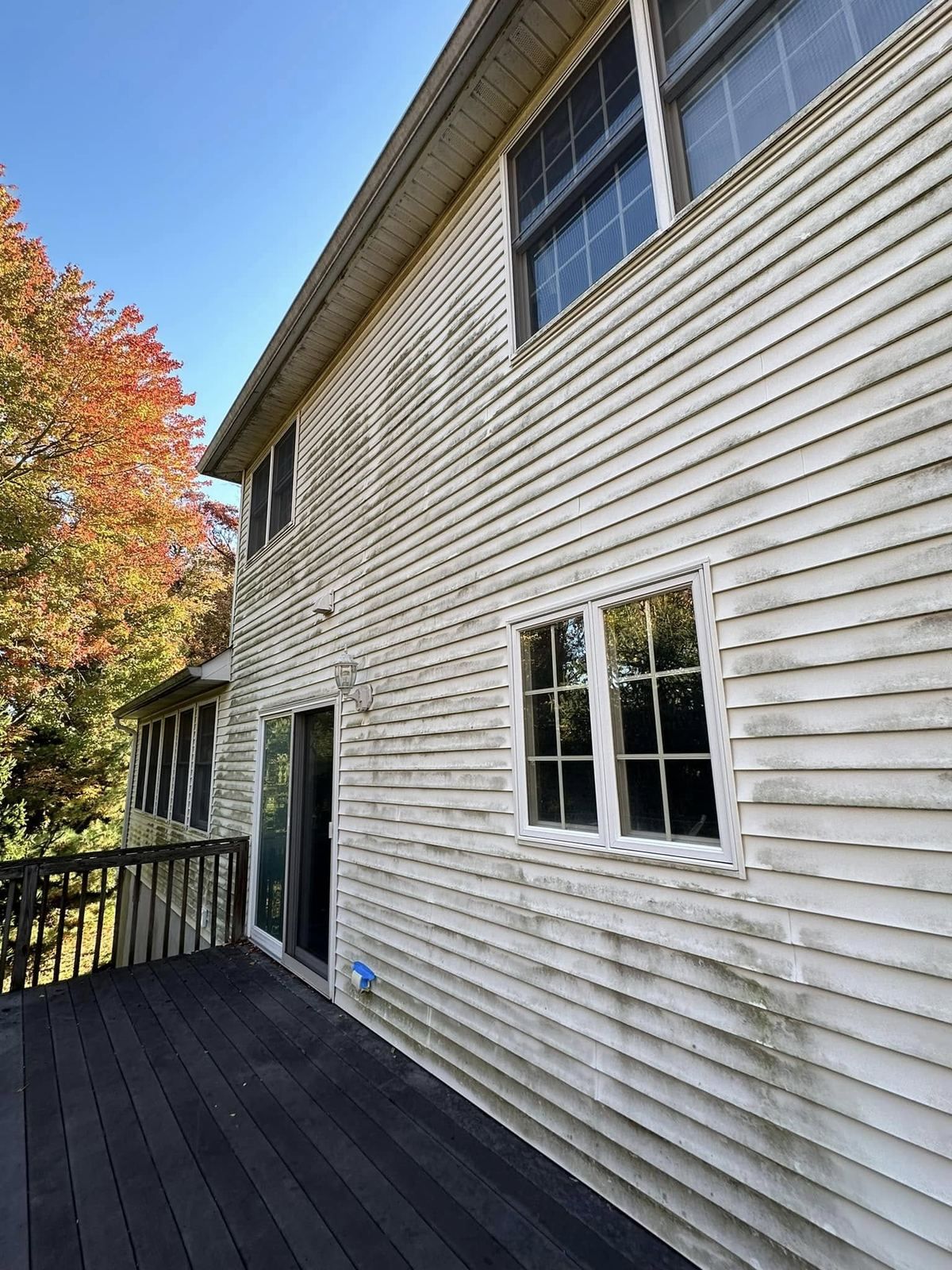 Siding wall with fall tree — Catanzaro's Power Washing
