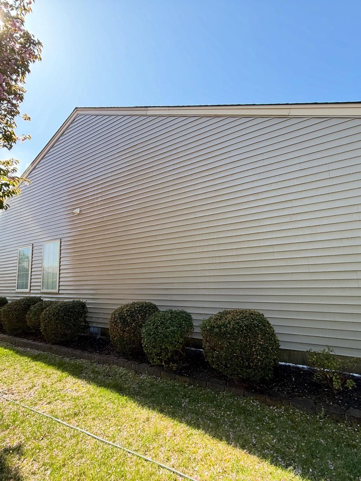 Siding wall with shrubs — Catanzaro's Power Washing
