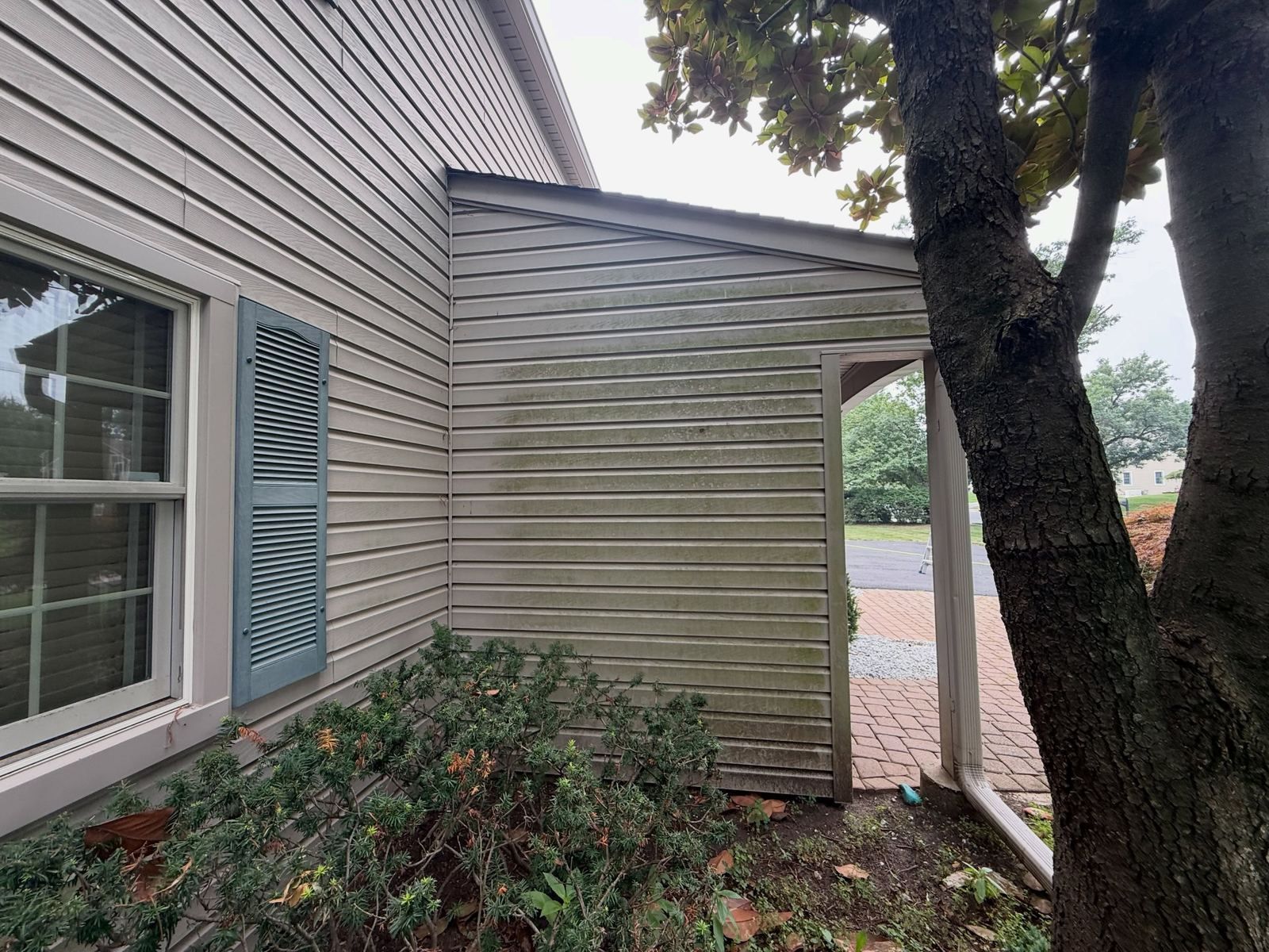 Tan siding corner by tree — Catanzaro's Power Washing