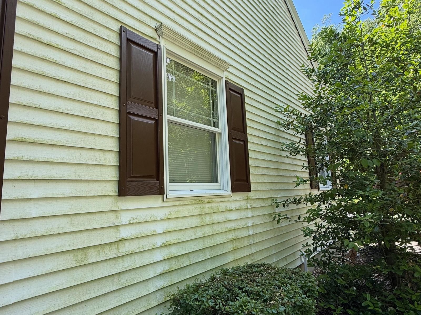 Yellow siding with brown shutters, washed — Catanzaro's Power Washing
