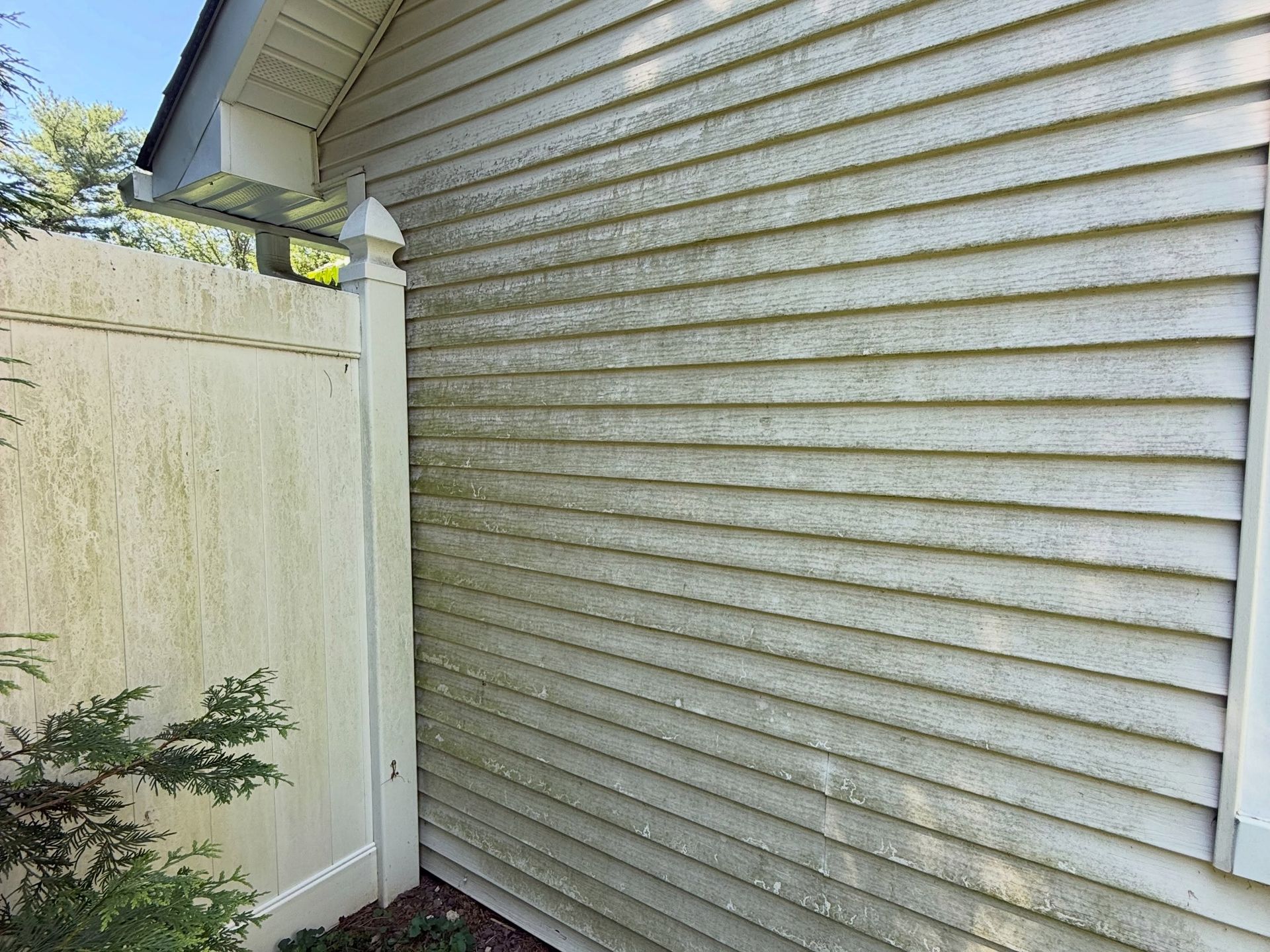 Siding by white vinyl fence, before — Catanzaro's Power Washing