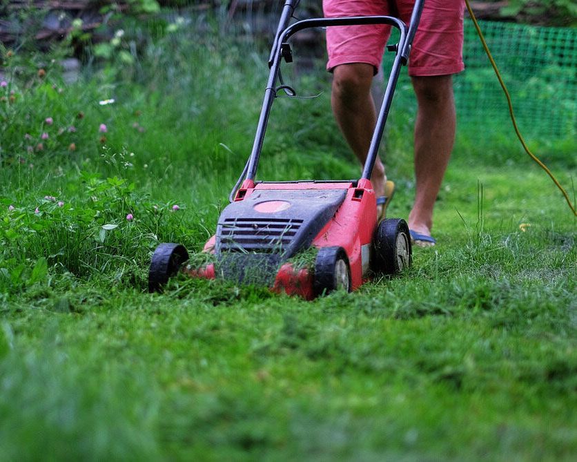 Man Using a Lawn Mower in Tidy Garden Setting - Professional Cleaner in Bangalow