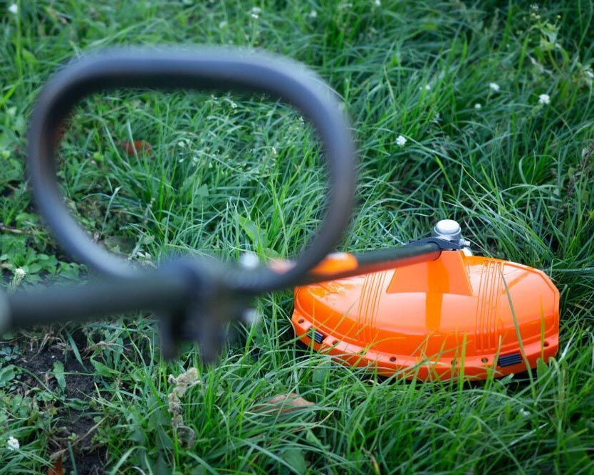 Vibrant Orange Lawn Mower Adds a Splash of Colour to the Landscape - Experienced Cleaner in Ballina