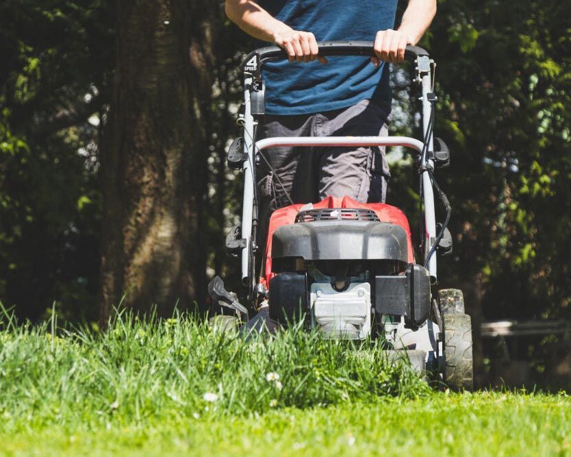 Man Cutting Grass With A Lawn Mower - Professional Cleaner in Lennox Head
