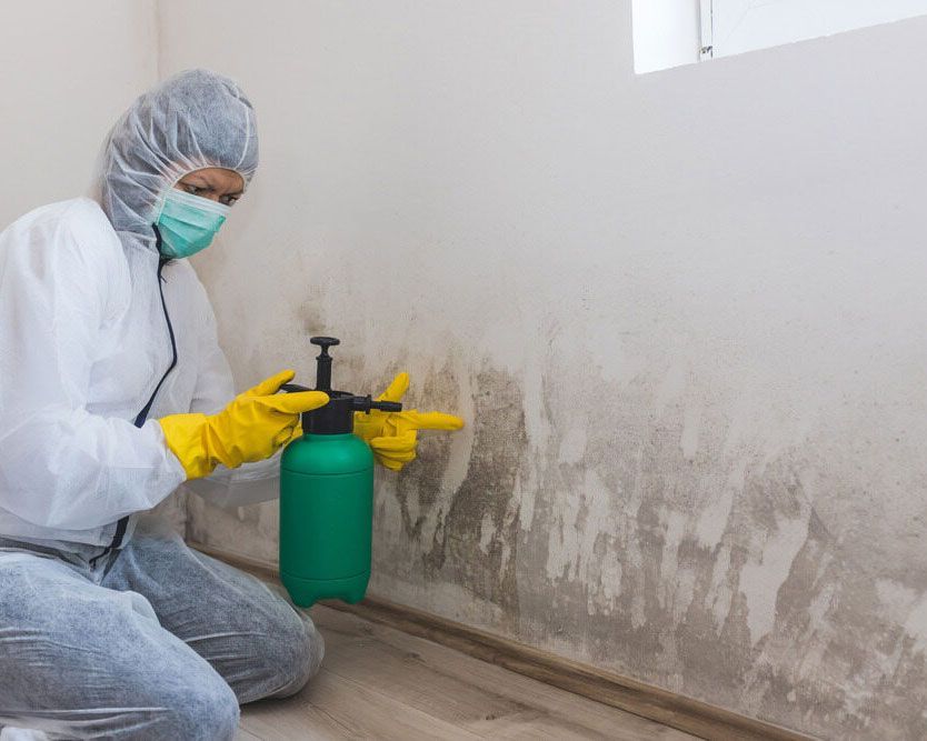Revitalizing a Soiled Wall with Precision Cleaning by Jacsimpson Cleaning Services - Comprehensive Cleaning Services in Ballina