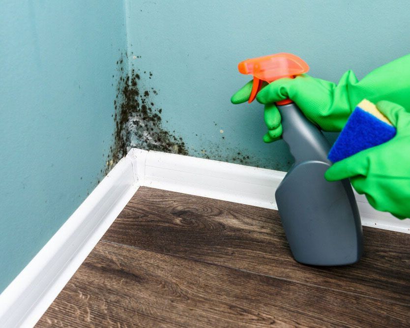 Cleaning A Wall With A Spray Bottle - Comprehensive Cleaning Services in Ballina