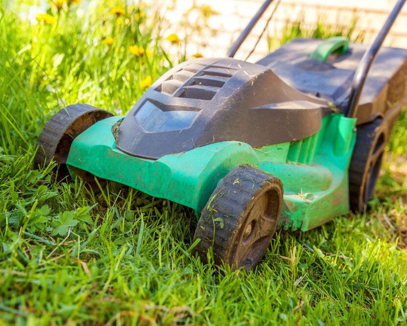 Lush Green Lawn with Mower in View - Experienced Cleaner in Ballina