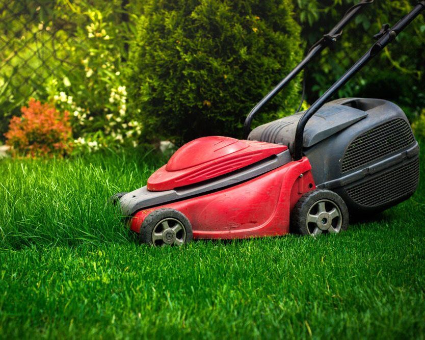 Red Lawn Mower Tackling the Turf - Expert Cleaner in Byron Bay