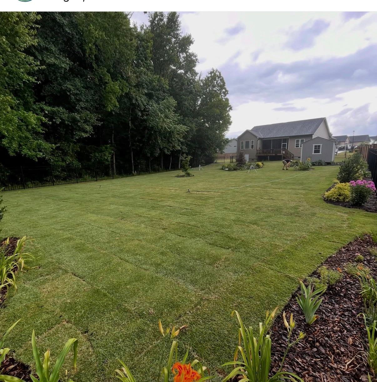 Large mowed lawn