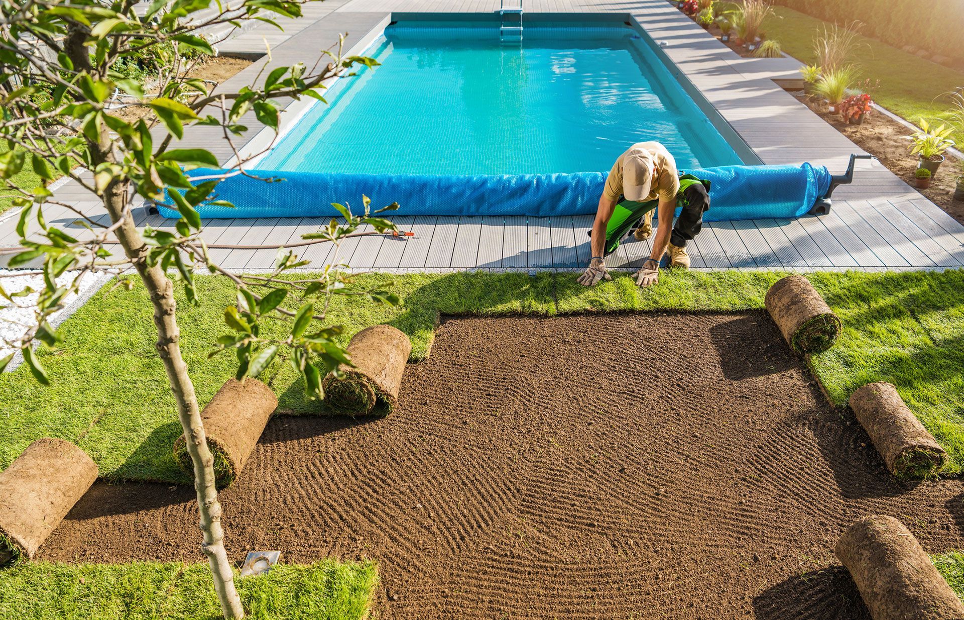 sod installation