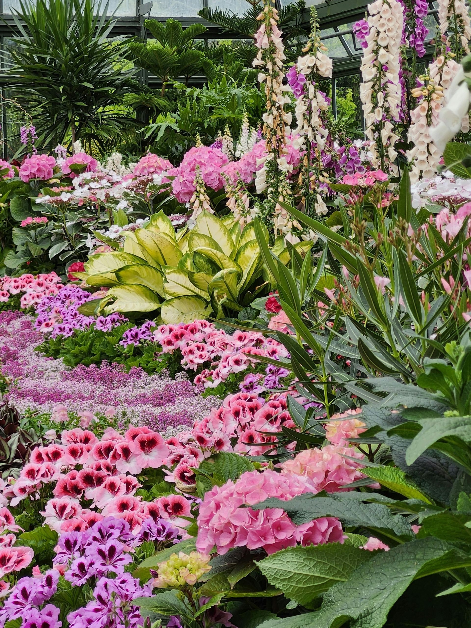 Lush flower garden with pink, purple, and white blooms and green foliage