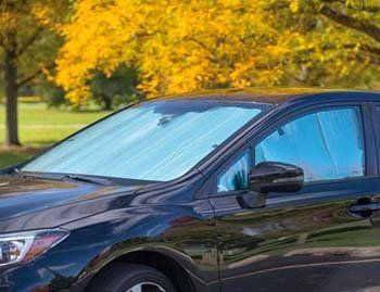 A black car with a sun shade on the windshield is parked in front of a tree.