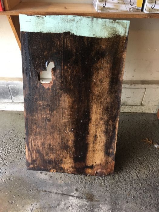 mold removal 1