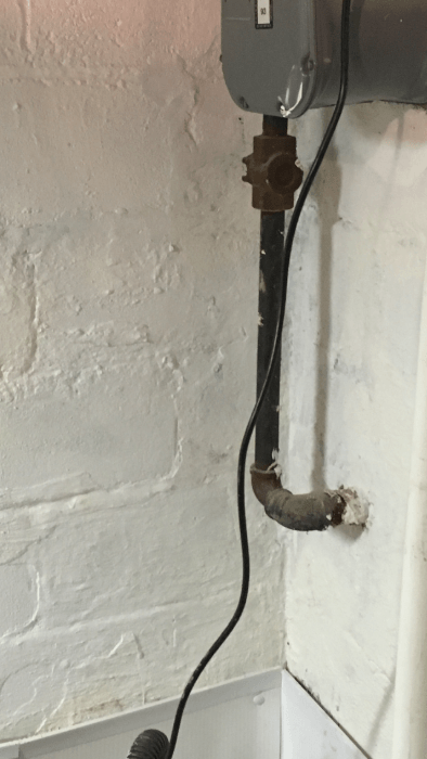 mold removal 3
