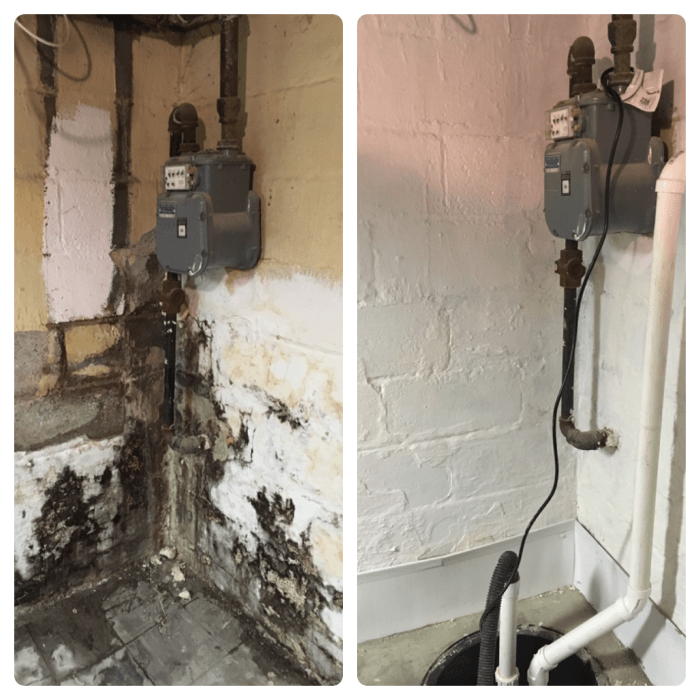 mold removal 6