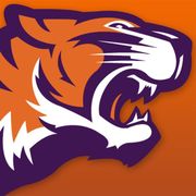 Arbyrd Tiger