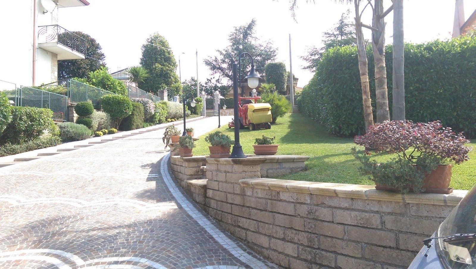 cura del verde