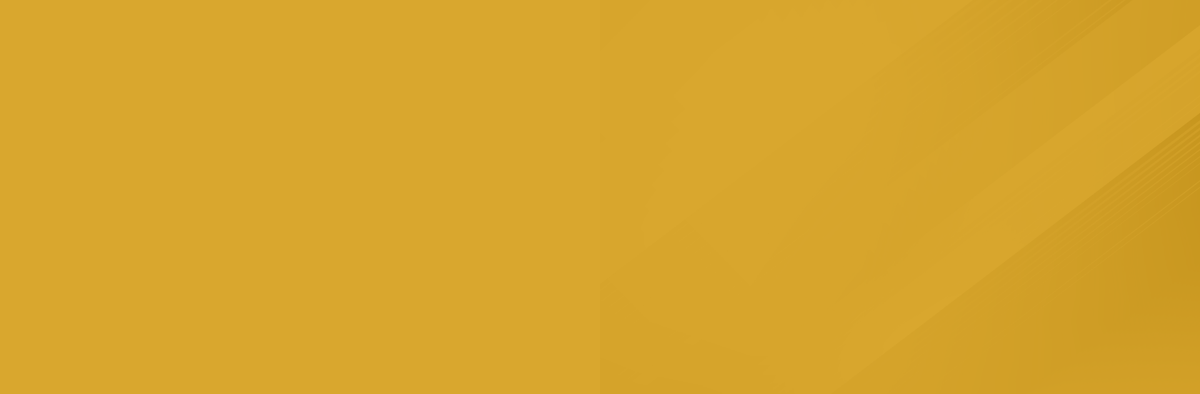 Background | Elite European Auto, LLC