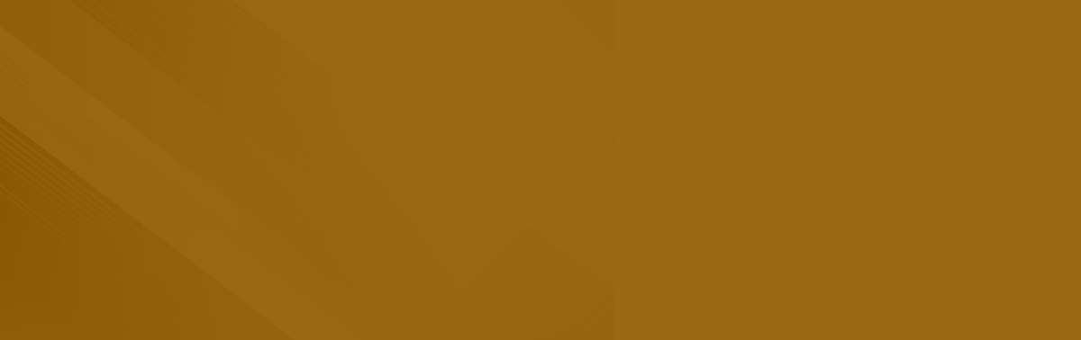 Background | Elite European Auto, LLC