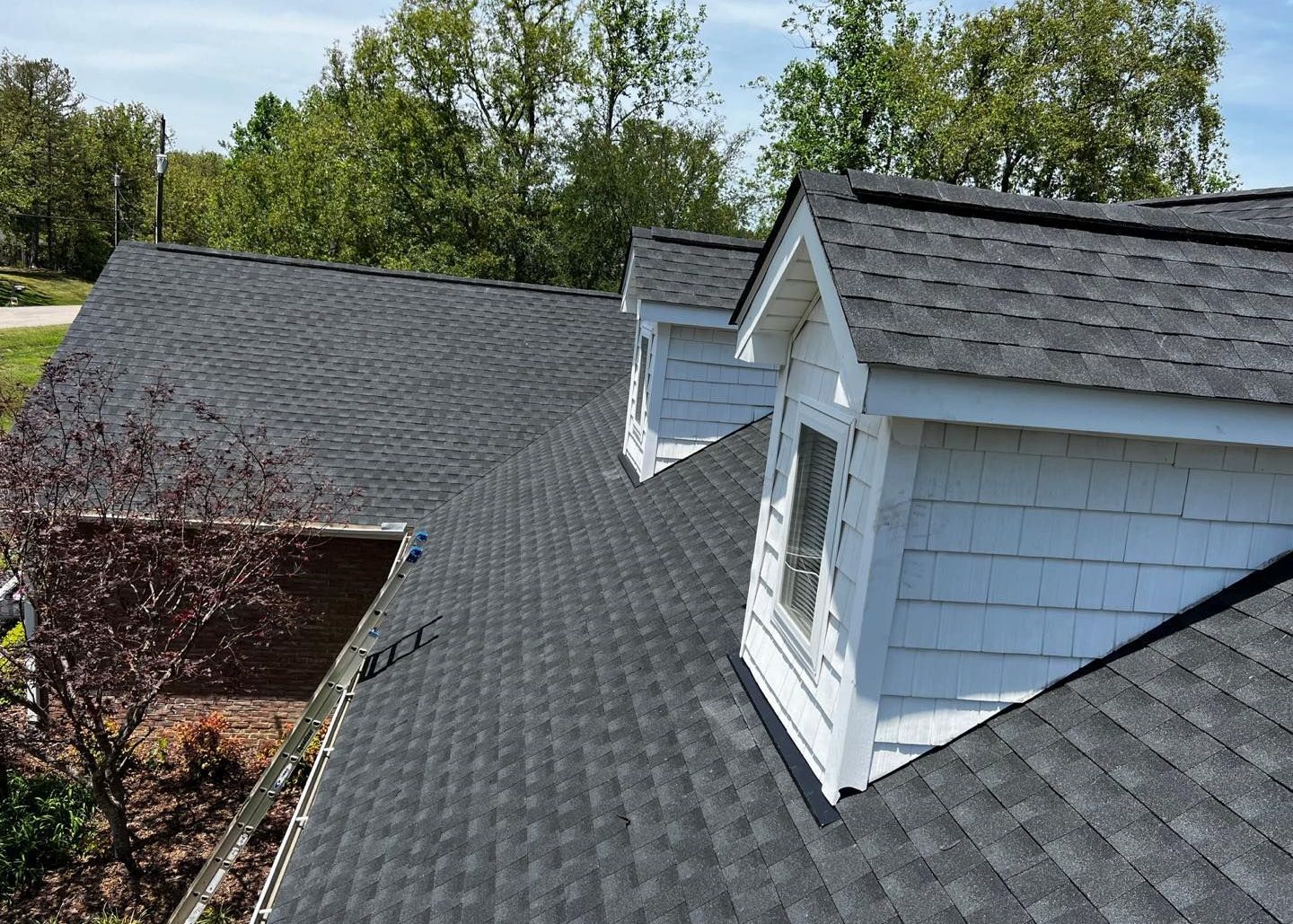 Dark gray shingle roof with two dormer windows and trees in the background